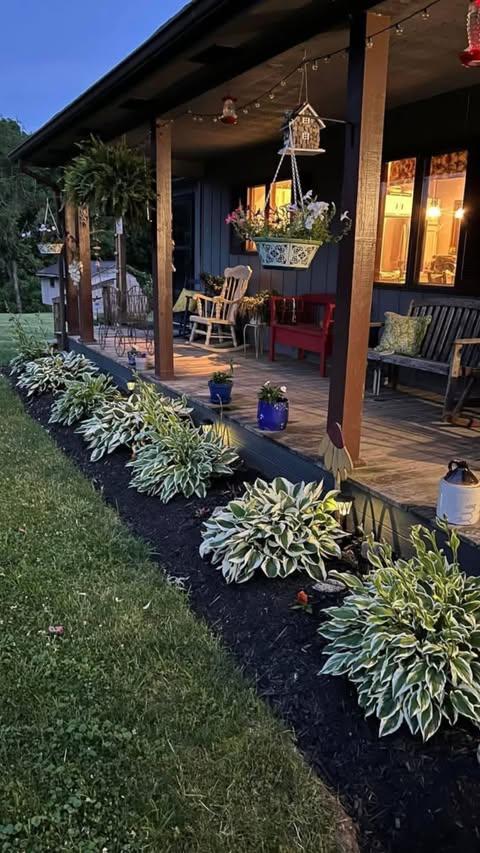 Pergola #6