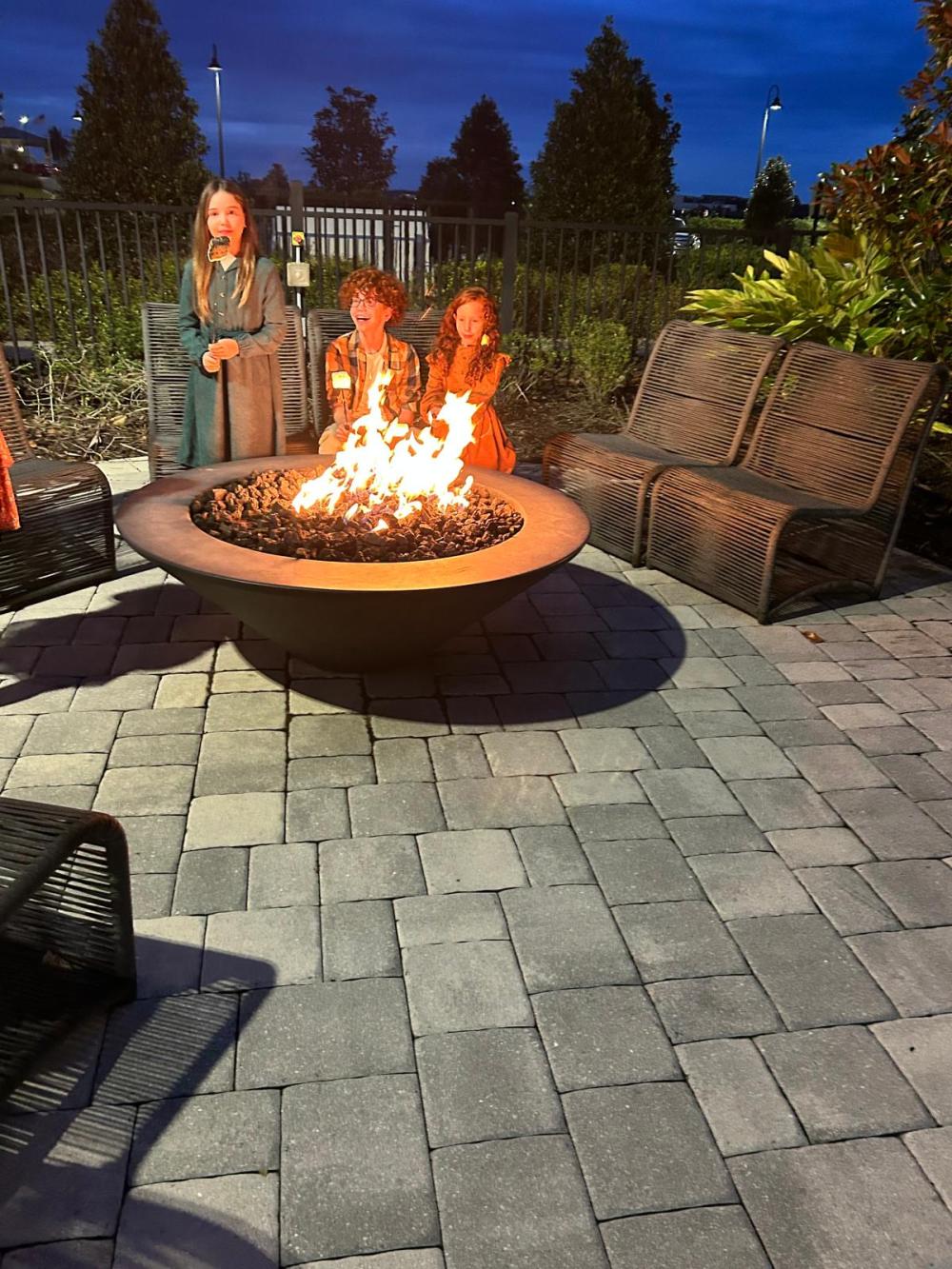 Fire Pit 06